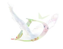 Cena Ď pro Královéhradecký kraj zůstala v Oblastní hradecké charitě