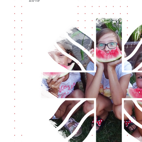 Výroční zpráva 2019