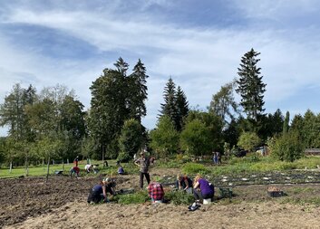 Dobrovolníci hradecké Oblastní charity opět pomáhali