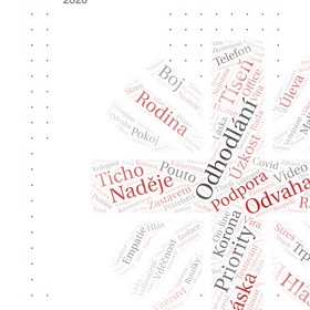 Výroční zpráva 2020