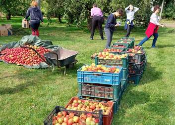 Sobotní brigáda  s dobrovolníky hradecké Oblastní charity