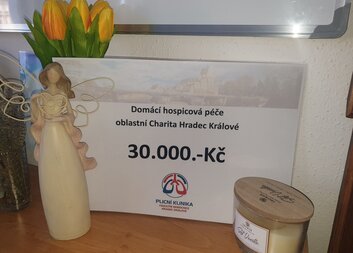 XXVIII. Hradecké pneumologické dny