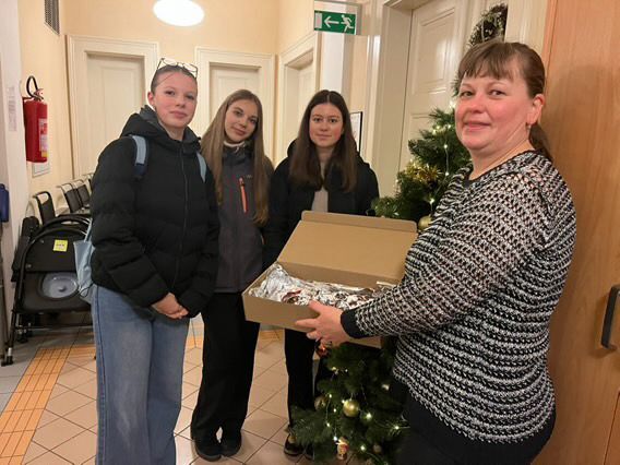 vánočka od studentek zdravotnické školy v HK vánočka od studentek zdravotnické školy v HK