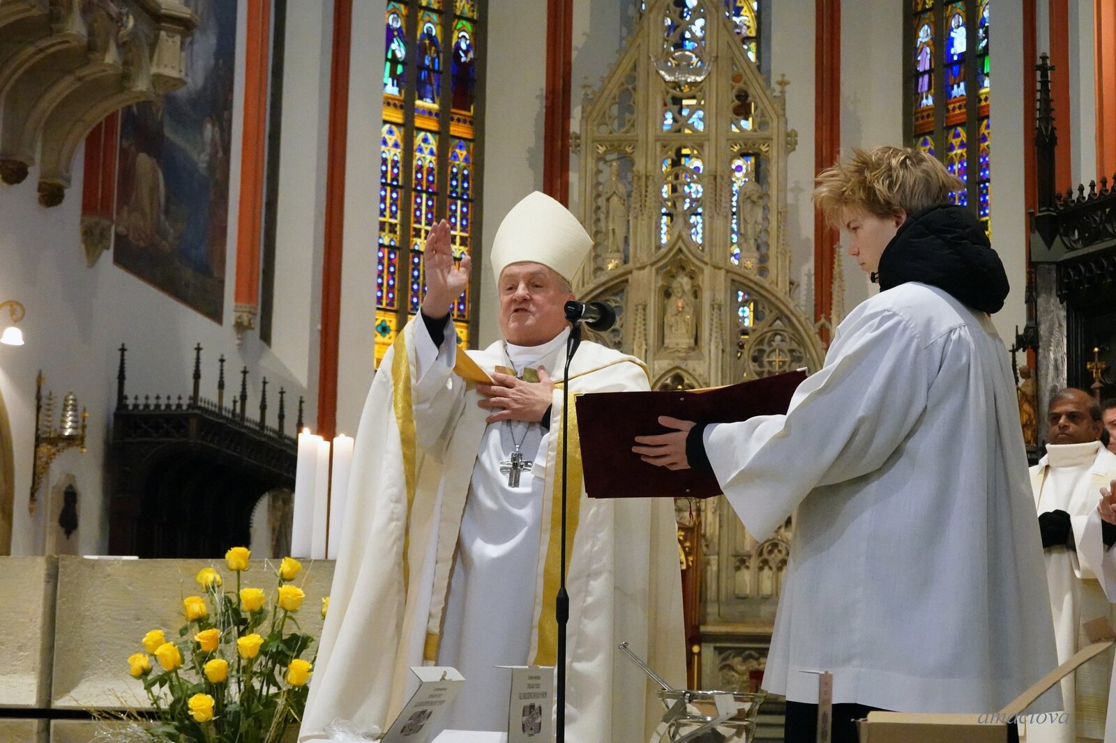 611815225_25648457401454129_7727685882585473805_n