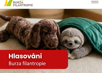 Hlasování v Burze filantropie