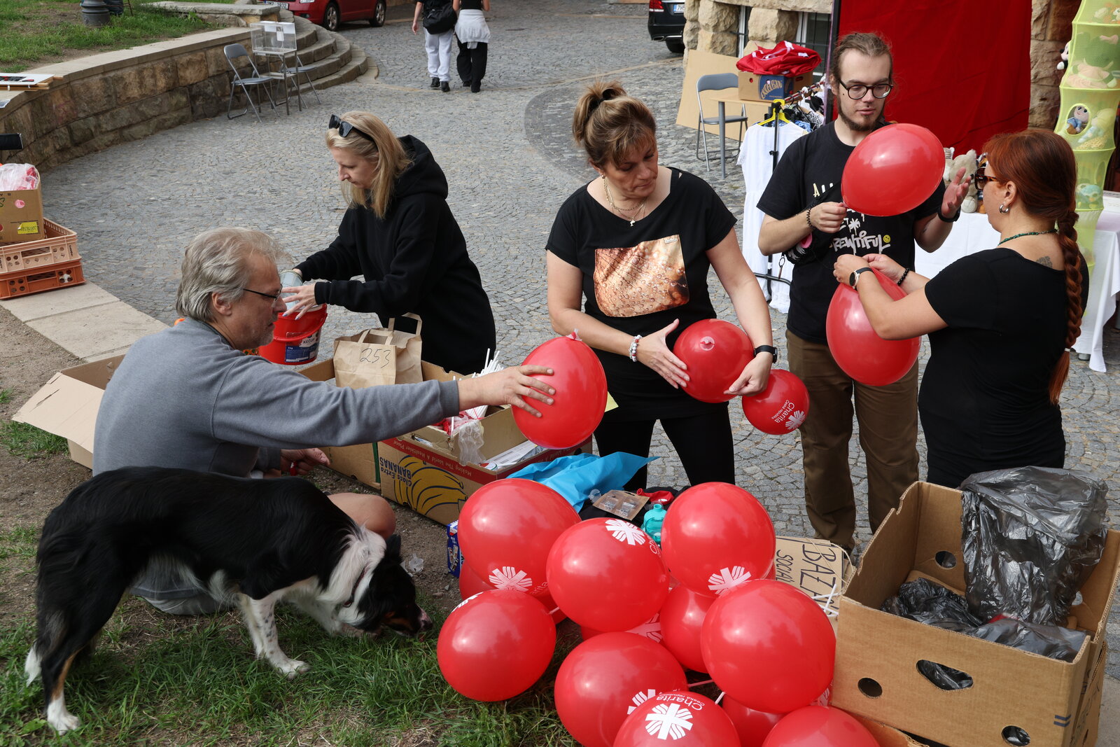 Festival bez Domova 2026